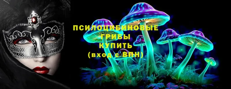 Псилоцибиновые грибы MAGIC MUSHROOMS  Приволжск 